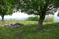 Der Hasunger Berg (Foto: Karl-Franz Thiede)